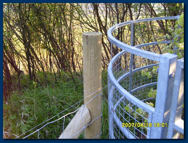 600x449 pixels (215K)